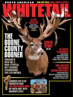 North American Whitetail